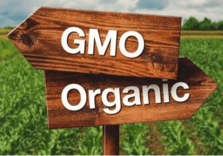 Dr. Anne Berkeley | Elevate Your Well Being: The Role of Functional Medicine and Gut Health
