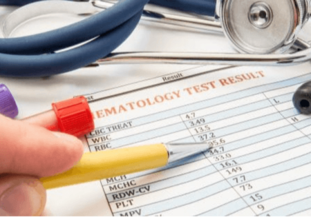 Dr. Anne Berkeley | Elevate Your Well Being: The Role of Functional Medicine and Gut Health